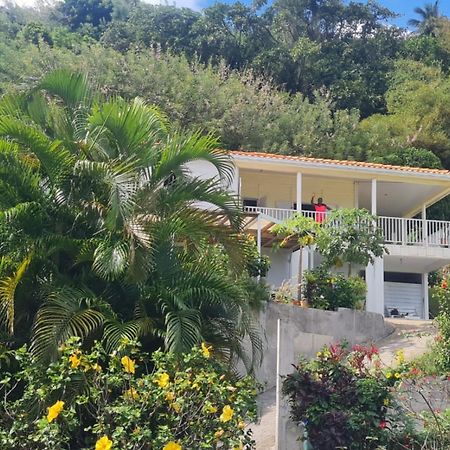 Villa Zephyr Domaine Roses Des Vents Sainte Marie Bagian luar foto